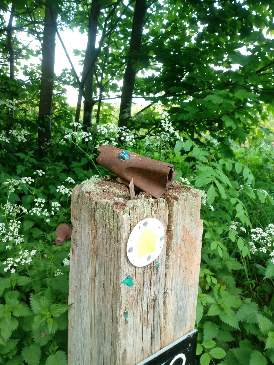 dd9bce5f-569f-4a85-958d-501a43dba2aa