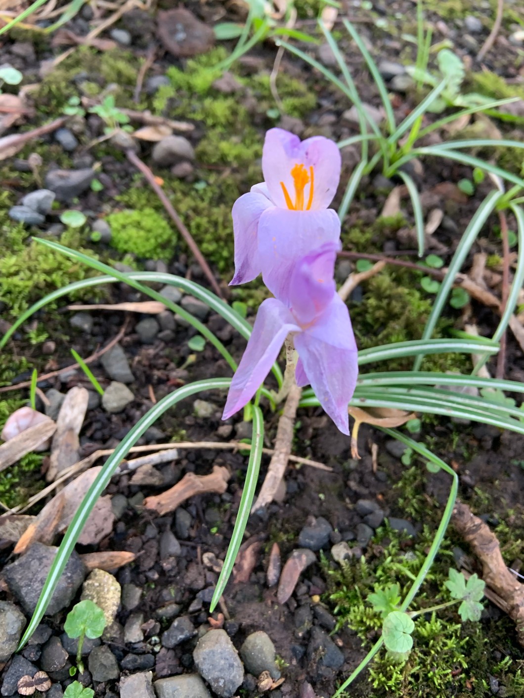 Fo%pp6s9QQG2ec2N0FaXwA