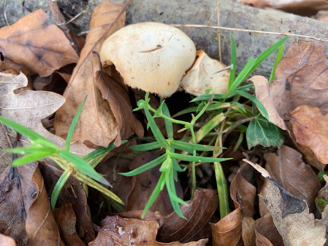 J6l+Xo%tSjCRSxDOJxkw6A