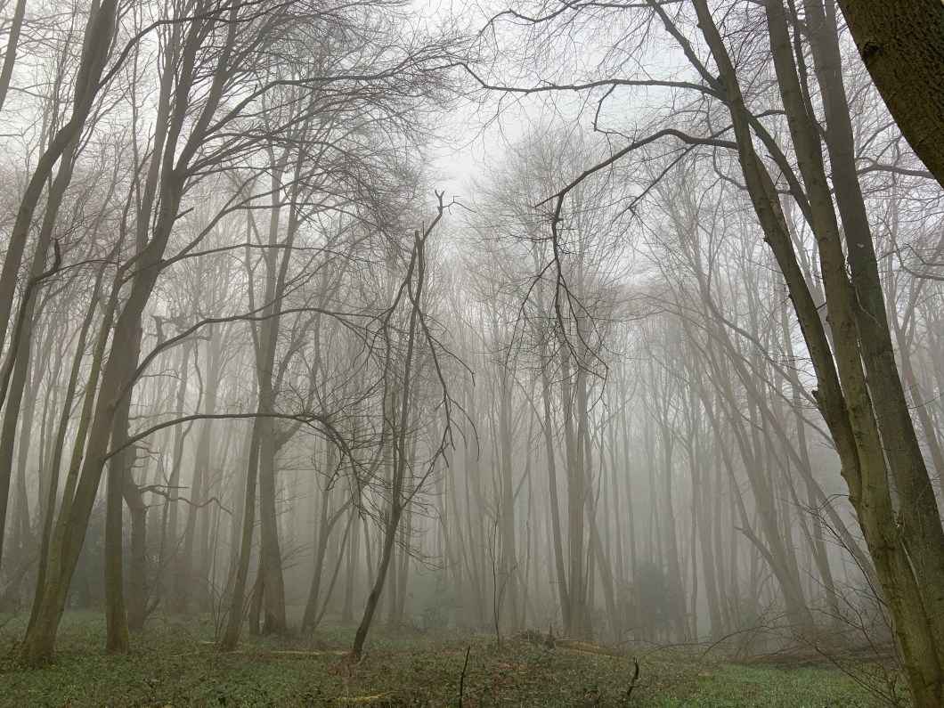 4zqsboHcQOGpWuCMYtzGYw