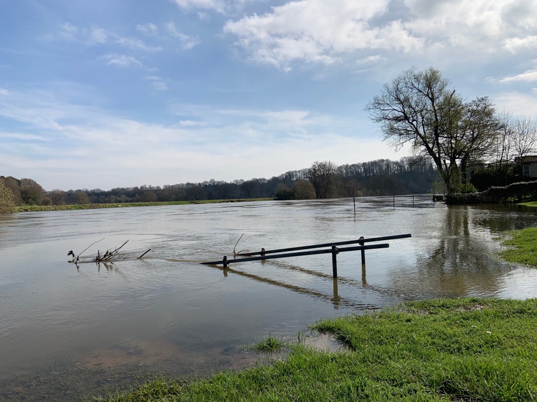 GaA3UaASRtKi3Hk3urGt4g