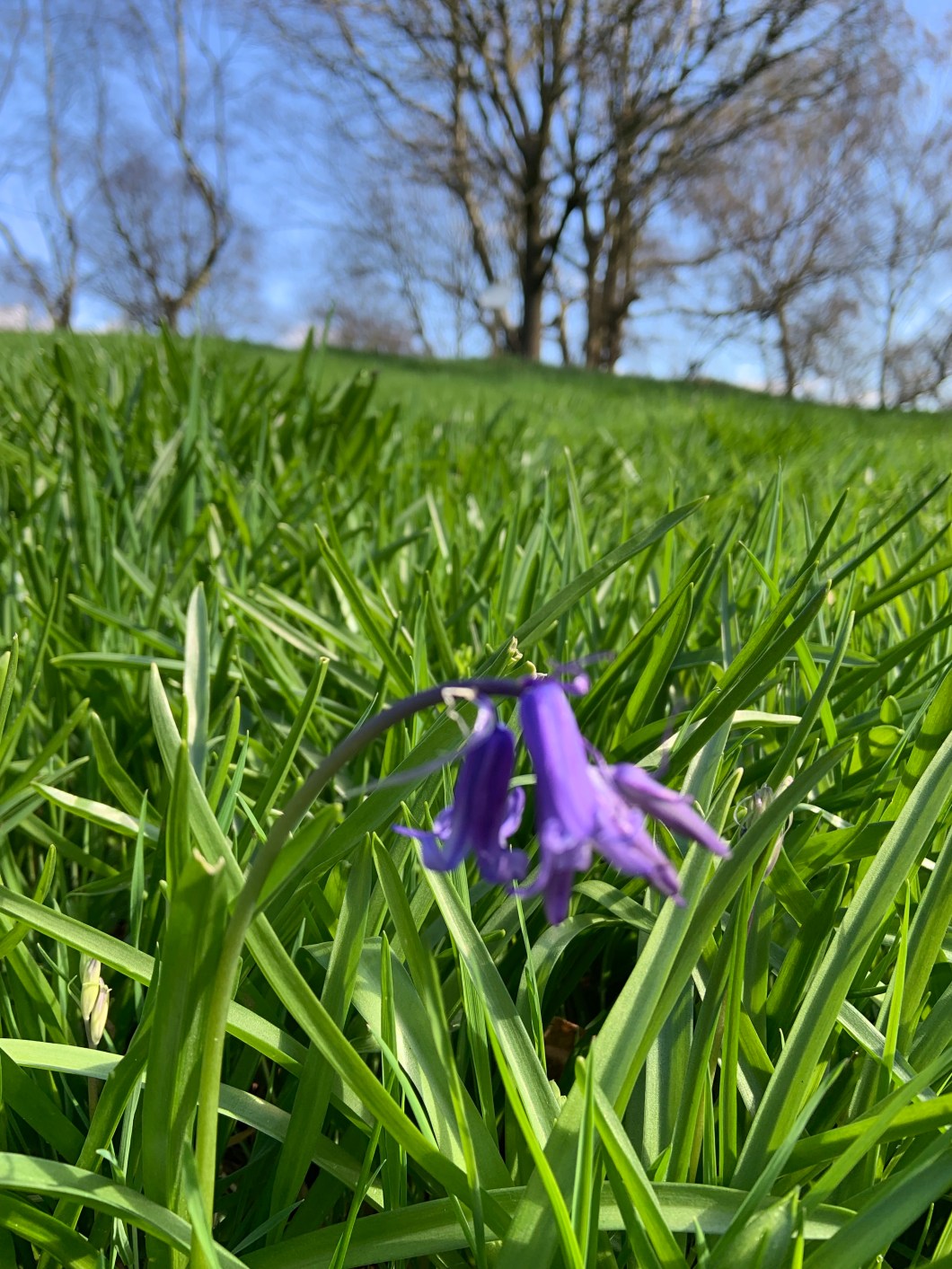 HufW+k44QMykywUgXv9ZPA