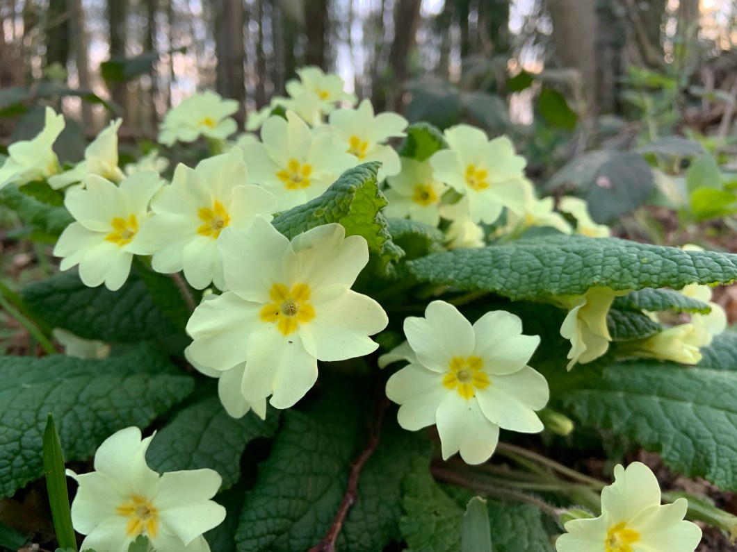 b8b+BHvvT9qjwGUdE3BCyw