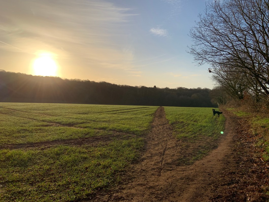 TQ15TkRVQ5CUeJN91knYhg