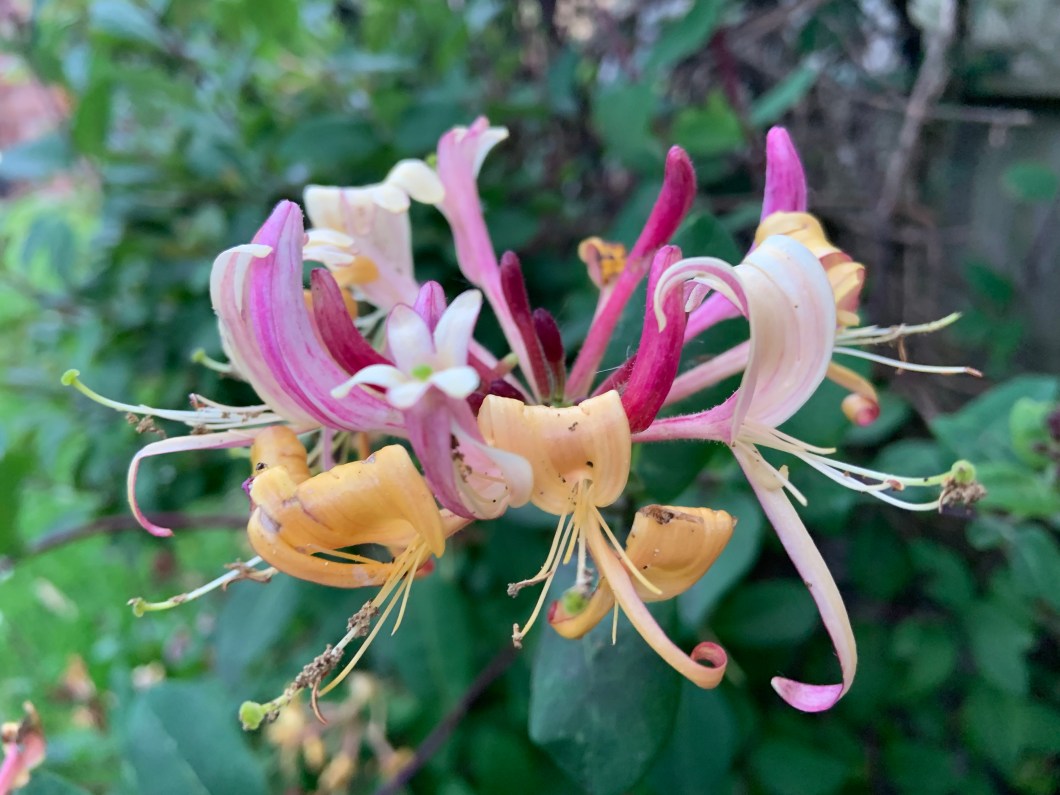 sYb6jLs3QPuNd3kwY%eGLA