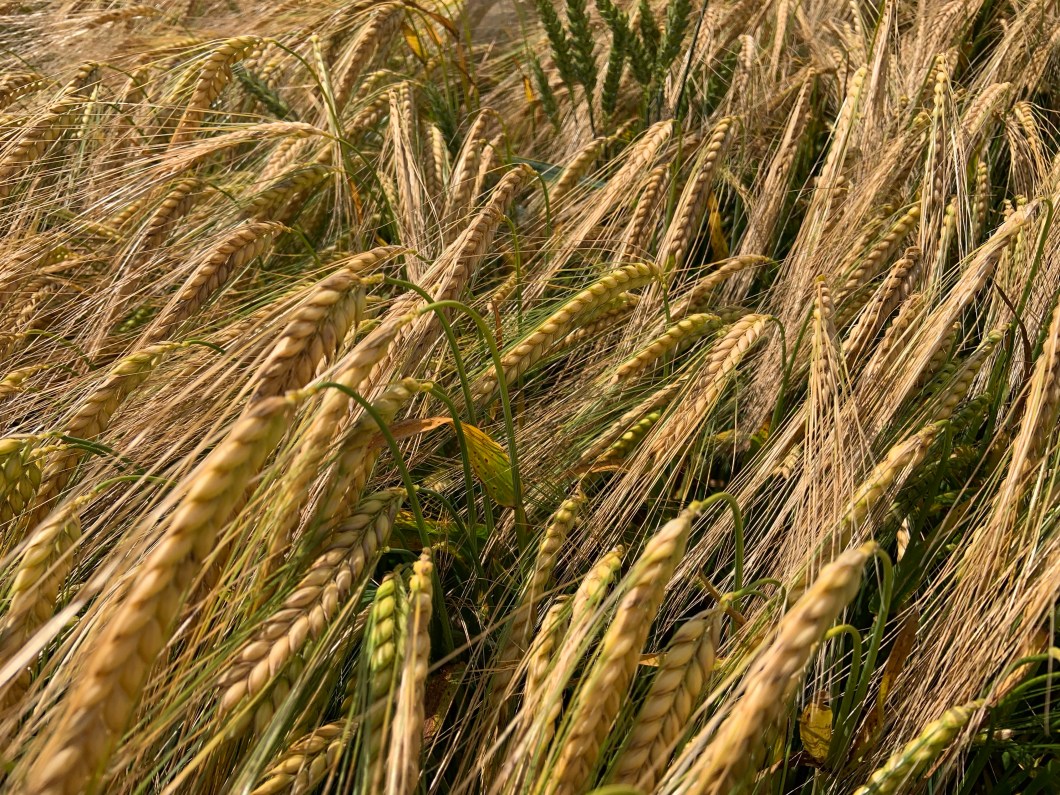 gnzQyUKfRyeFIj3J4B6YvA