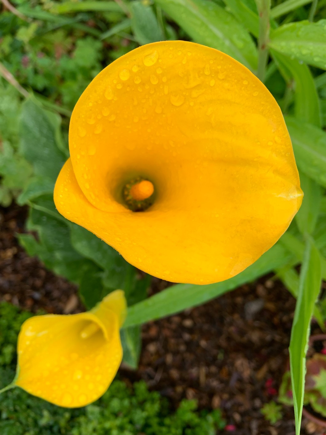 o%RHI%VbSjG9hfBfC1h9xg