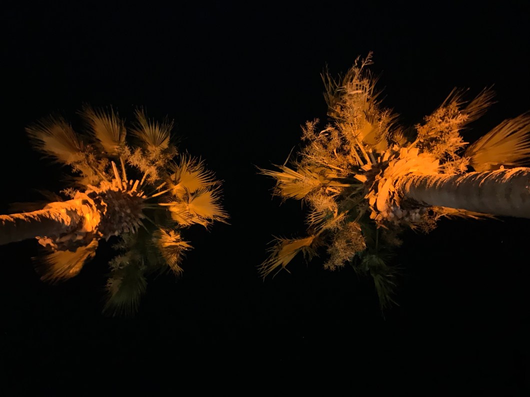 e3GRTDSkSNqm93+DfxURtw