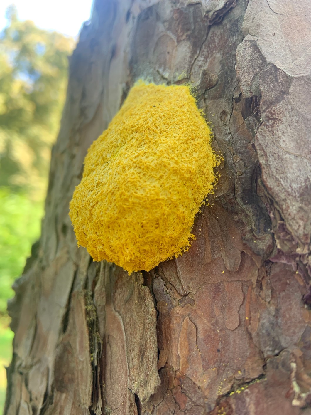 S1Tv82ALSkWg7u8ZZBqgpw