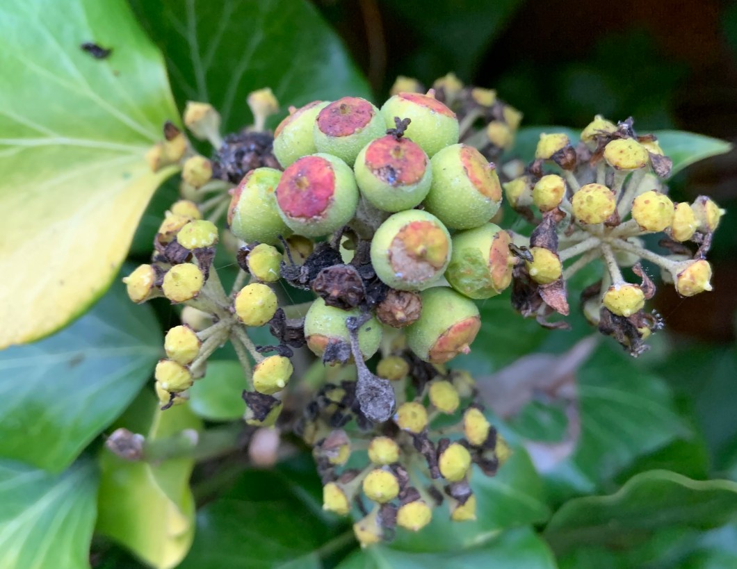 47EB3759-2DE7-4DB8-ACCB-ECED968861B7_1_201_a