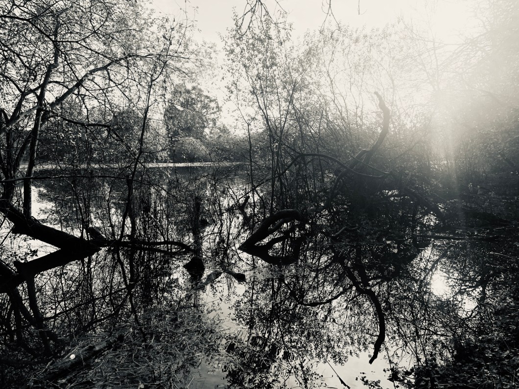 71E04015-7128-40BF-8AB8-9987CA1E71E2_1_201_a