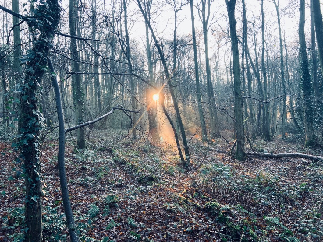 8423AA5D-9E3E-46FC-873F-5B02987D9670_1_201_a