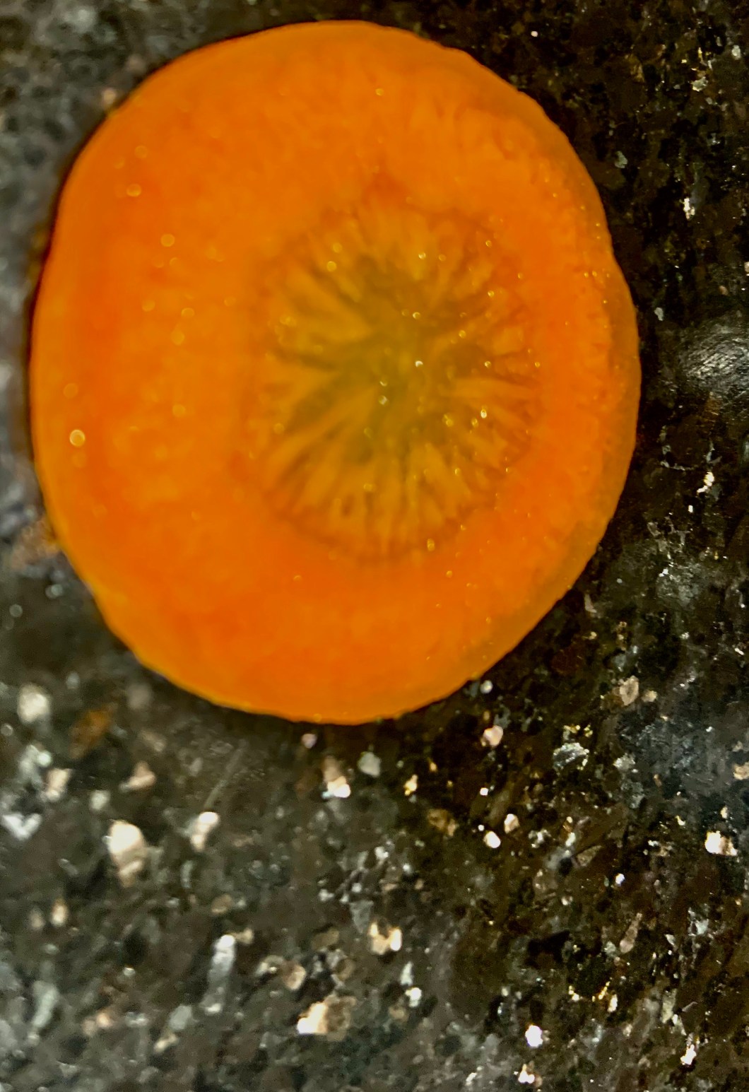 947DA14F-B800-4F83-B096-82894FAAB4FB_1_201_a