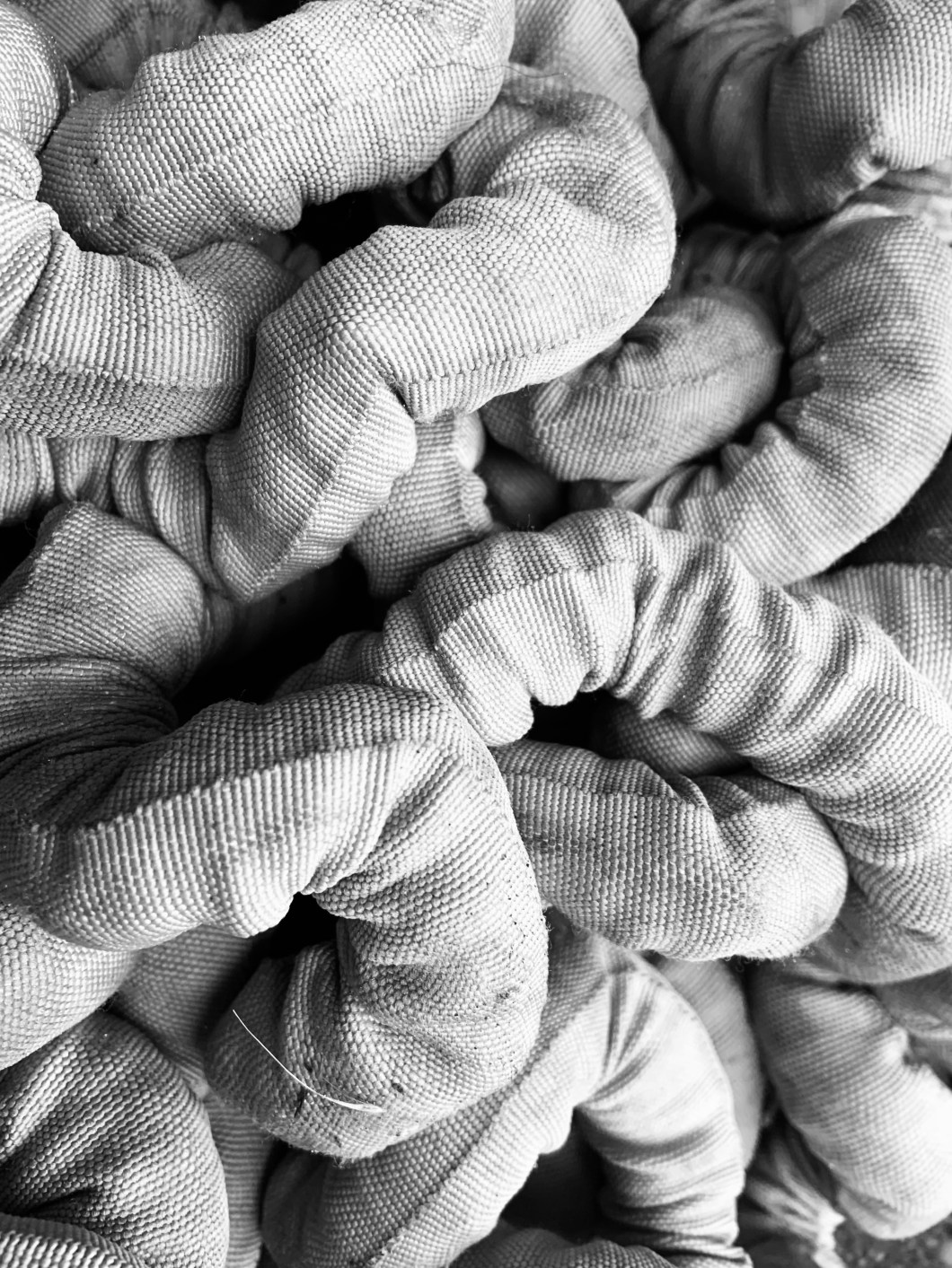 DD5EA866-20A2-4C1A-8C99-1C5D306F44F9_1_201_a