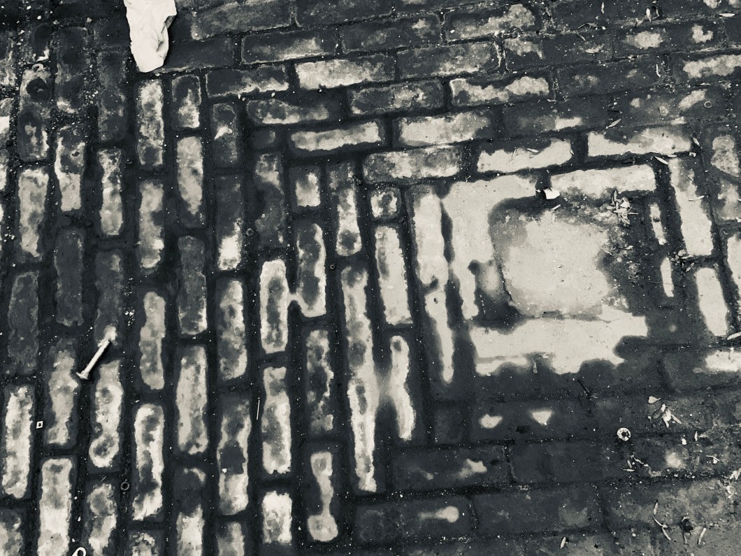 E84C8D0E-E2D0-4FB1-800B-EFEBDB81C0C3_1_201_a