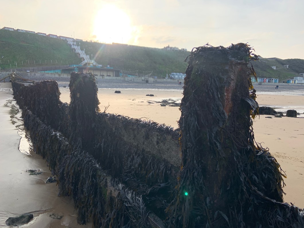 jsBSGqJdQGemmtdsMUSvpg