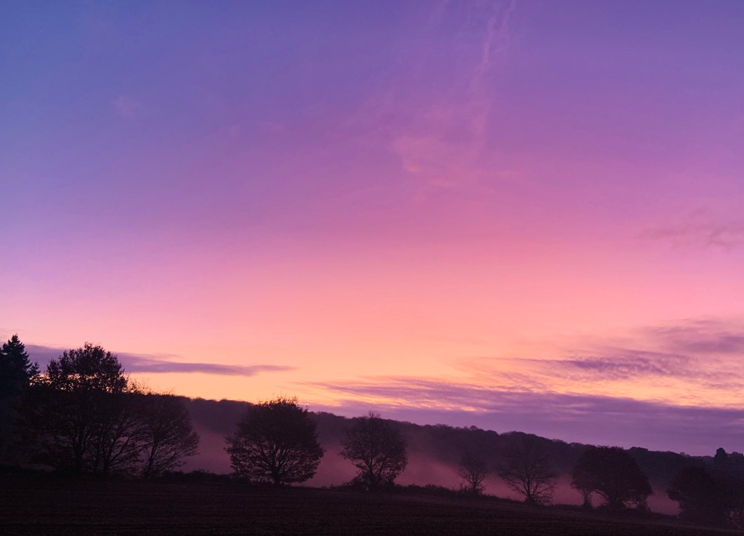 1A3001AA-0558-4229-96F9-2BA8EDD79353_1_201_a