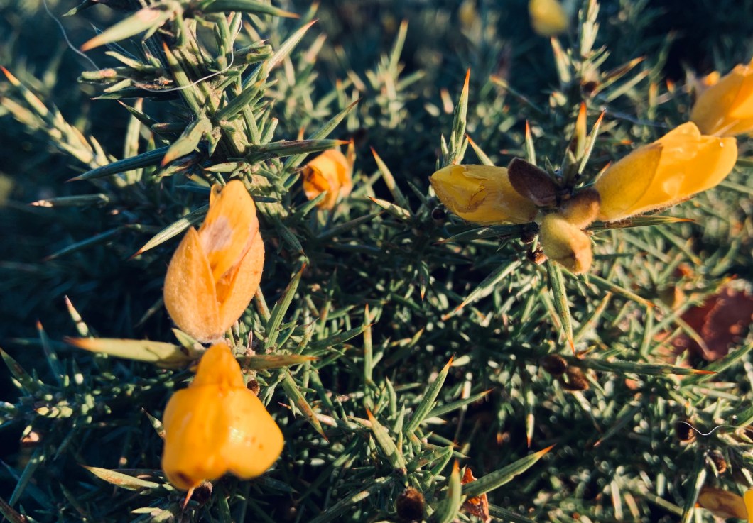 82BD90F6-3E87-41D4-B5C7-F3F664BE30E6_1_201_a