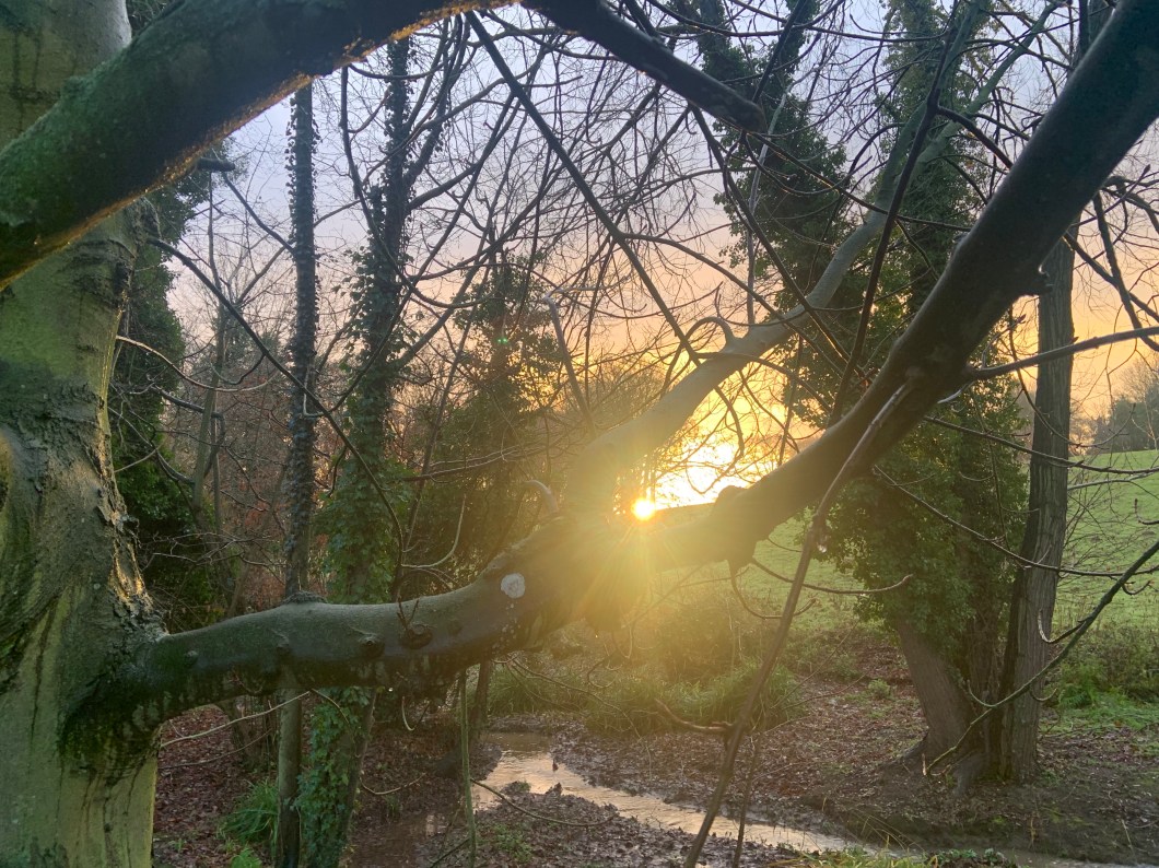 9C8DAFDD-99D9-4415-A343-14B5B621895C_1_201_a