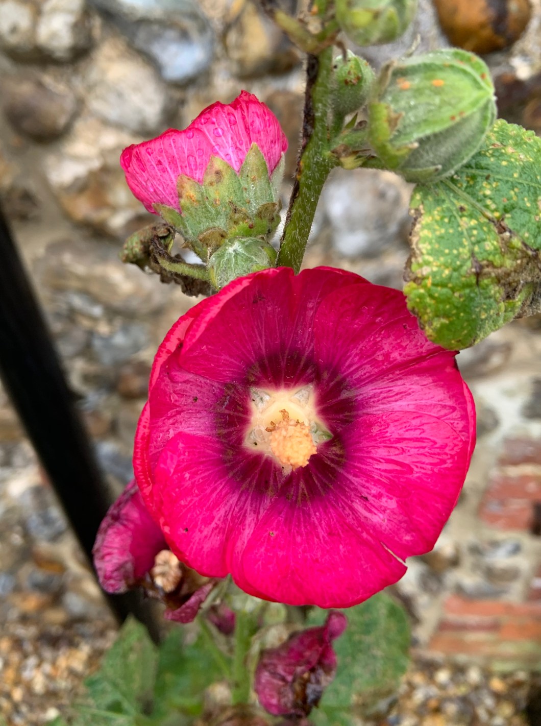 B9422E5B-F446-4228-801D-AA217E7B0D84_1_201_a