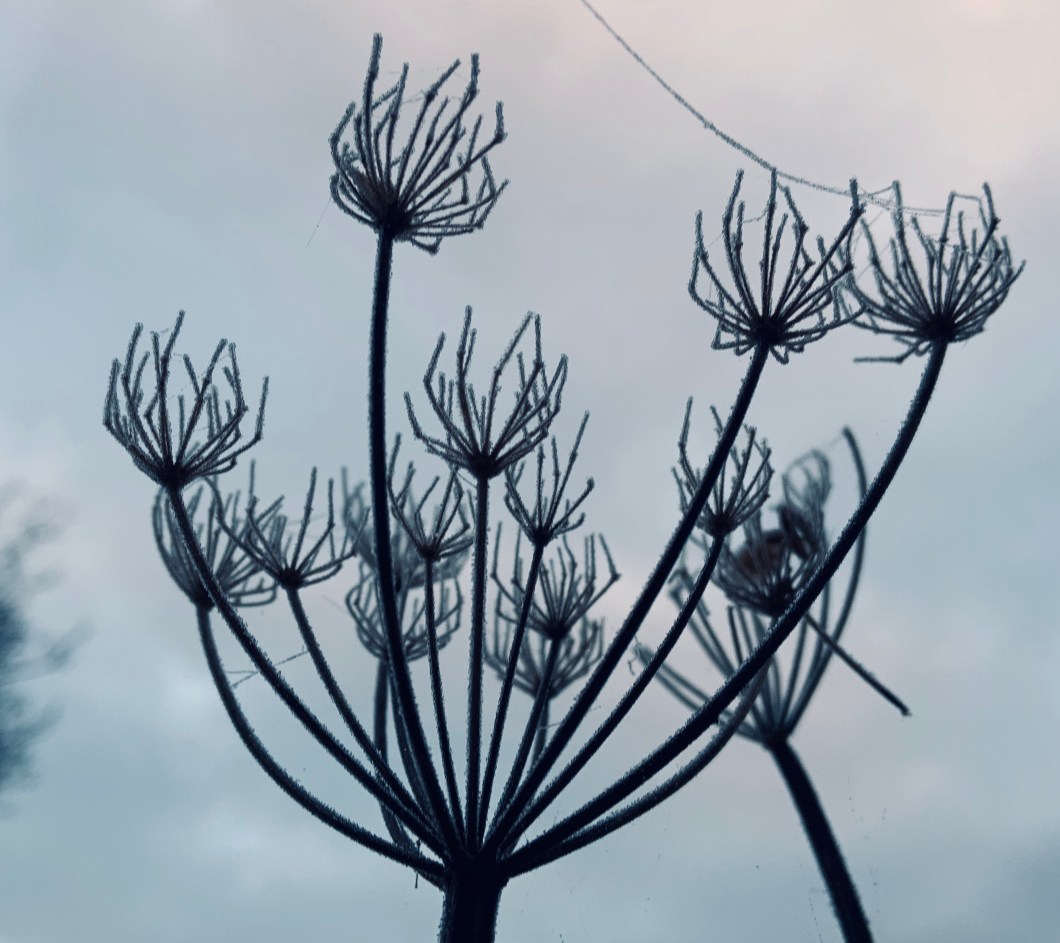 BDF8529D-E144-4DD4-B91D-EBF7255B10DD_1_201_a