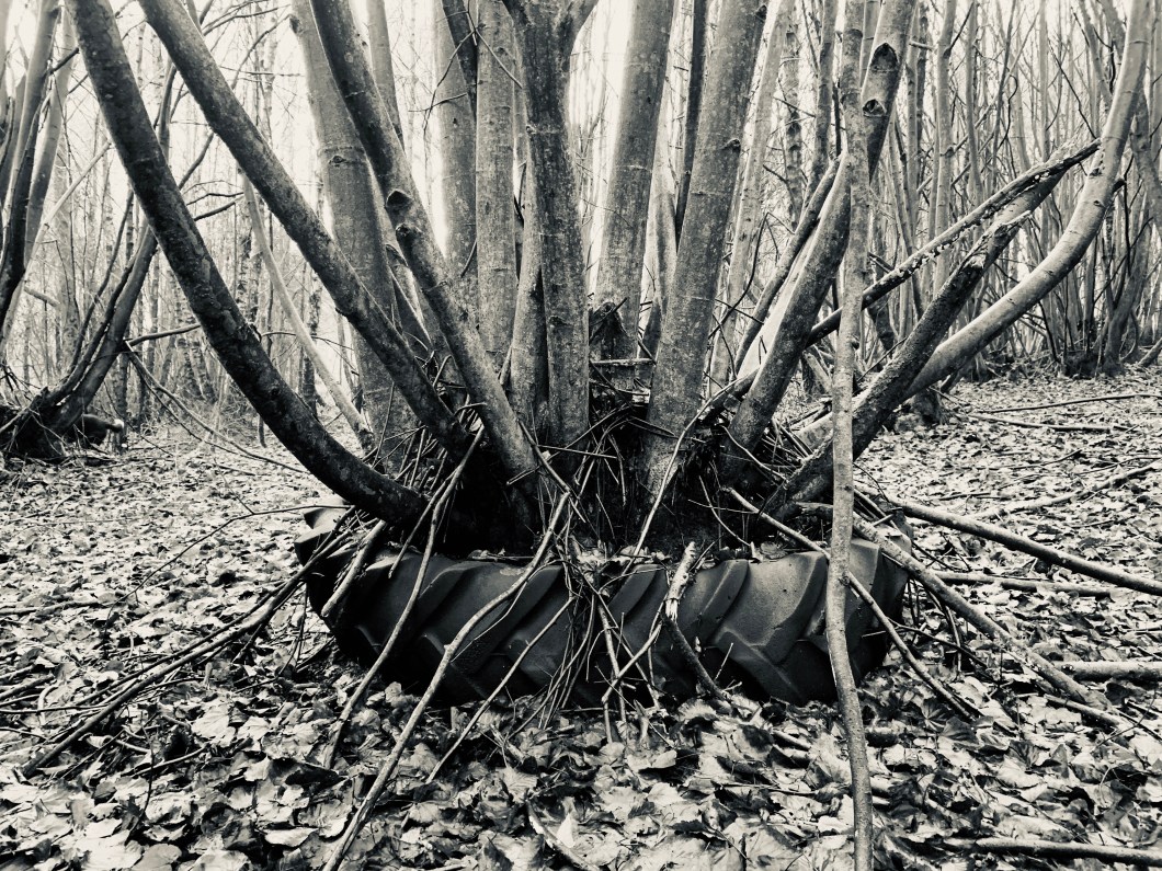 E6477639-279A-4340-BD37-02AB4D14DA9C_1_201_a