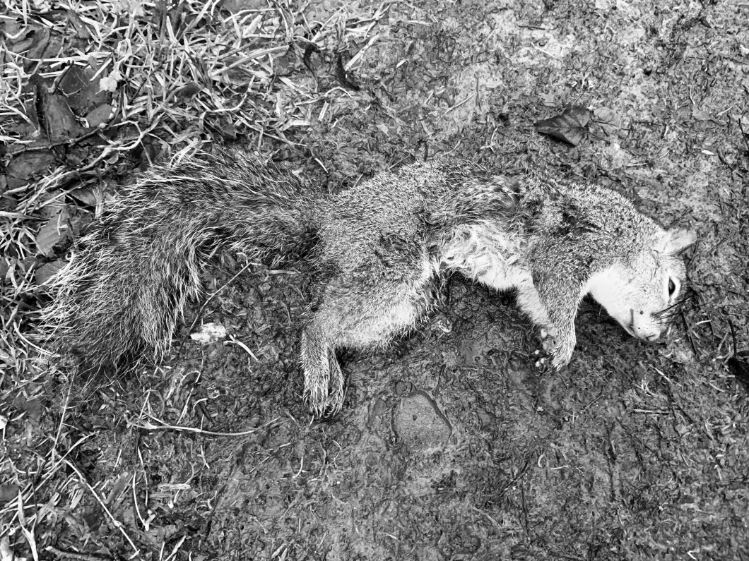 0CBC2F2F-BF19-4CB1-B703-F110FAEBD3D0_1_201_a