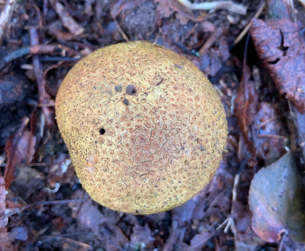 197C2B1A-2446-4177-A460-C9FF2BC66122_1_201_a