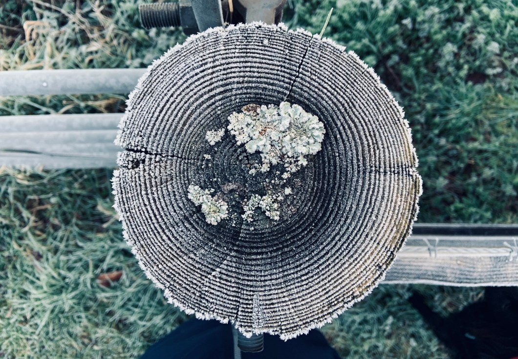 64356E11-216E-4A72-AAB5-6964468F58EC_1_201_a