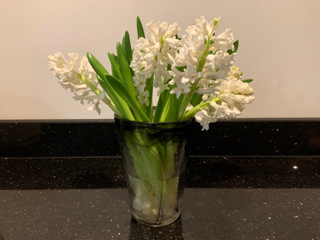 67BBAE6B-943C-496B-8357-58BF38D0FEA5_1_201_a