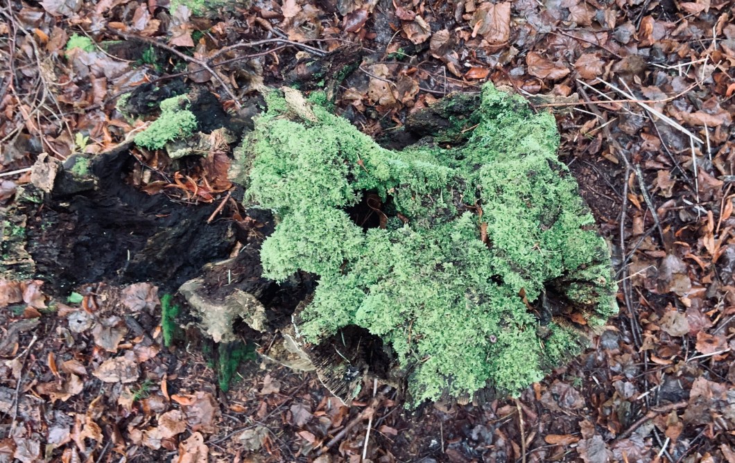 6D445D01-D3B8-4E4D-84C0-D7FD4C1F045C_1_201_a