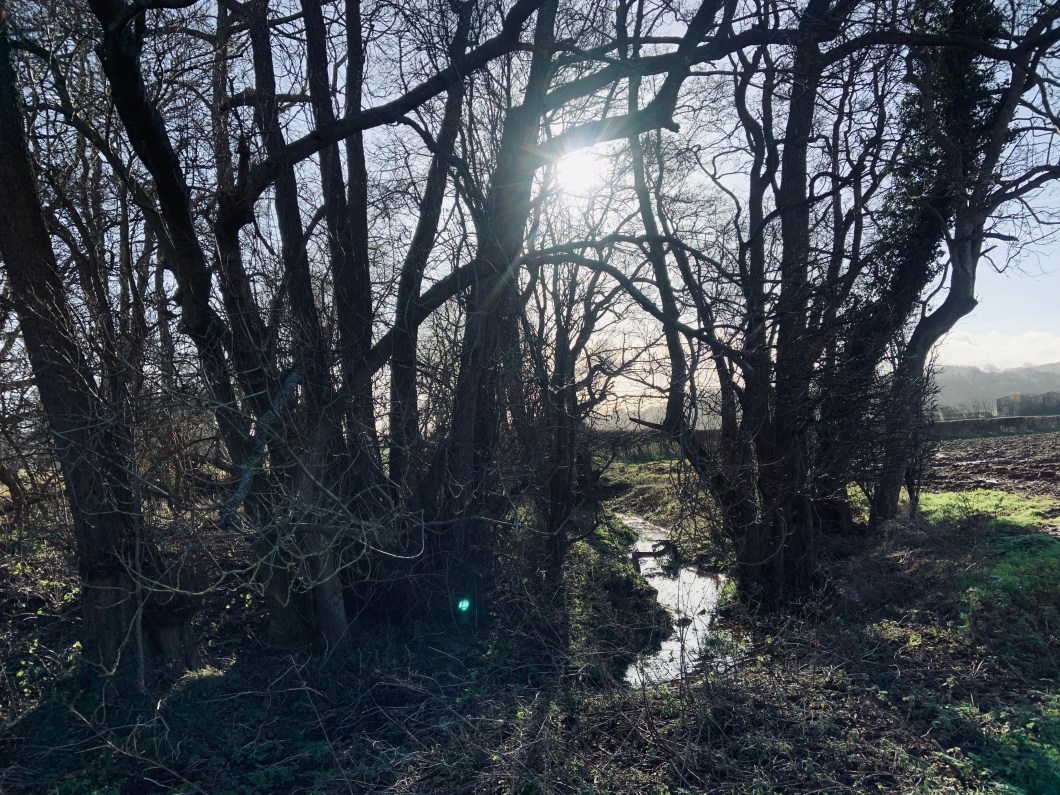 79DB15F0-A6D1-4C74-AEAD-FDBD53BFE99B_1_201_a