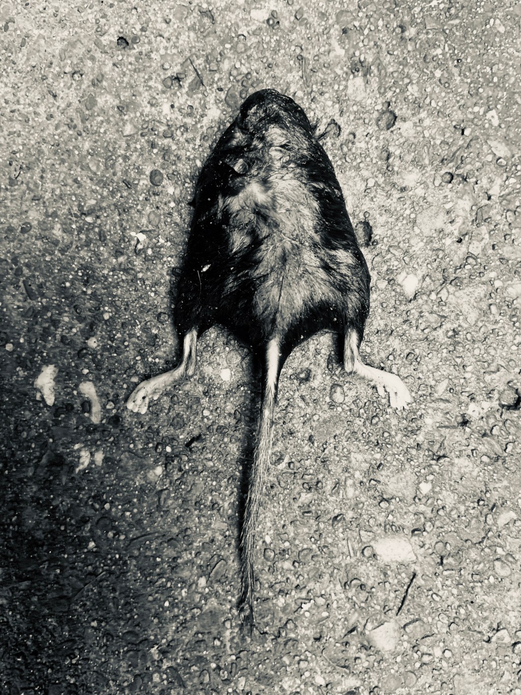 86A4A0FD-A8A4-407B-9B3B-A59B26CFEB63_1_201_a