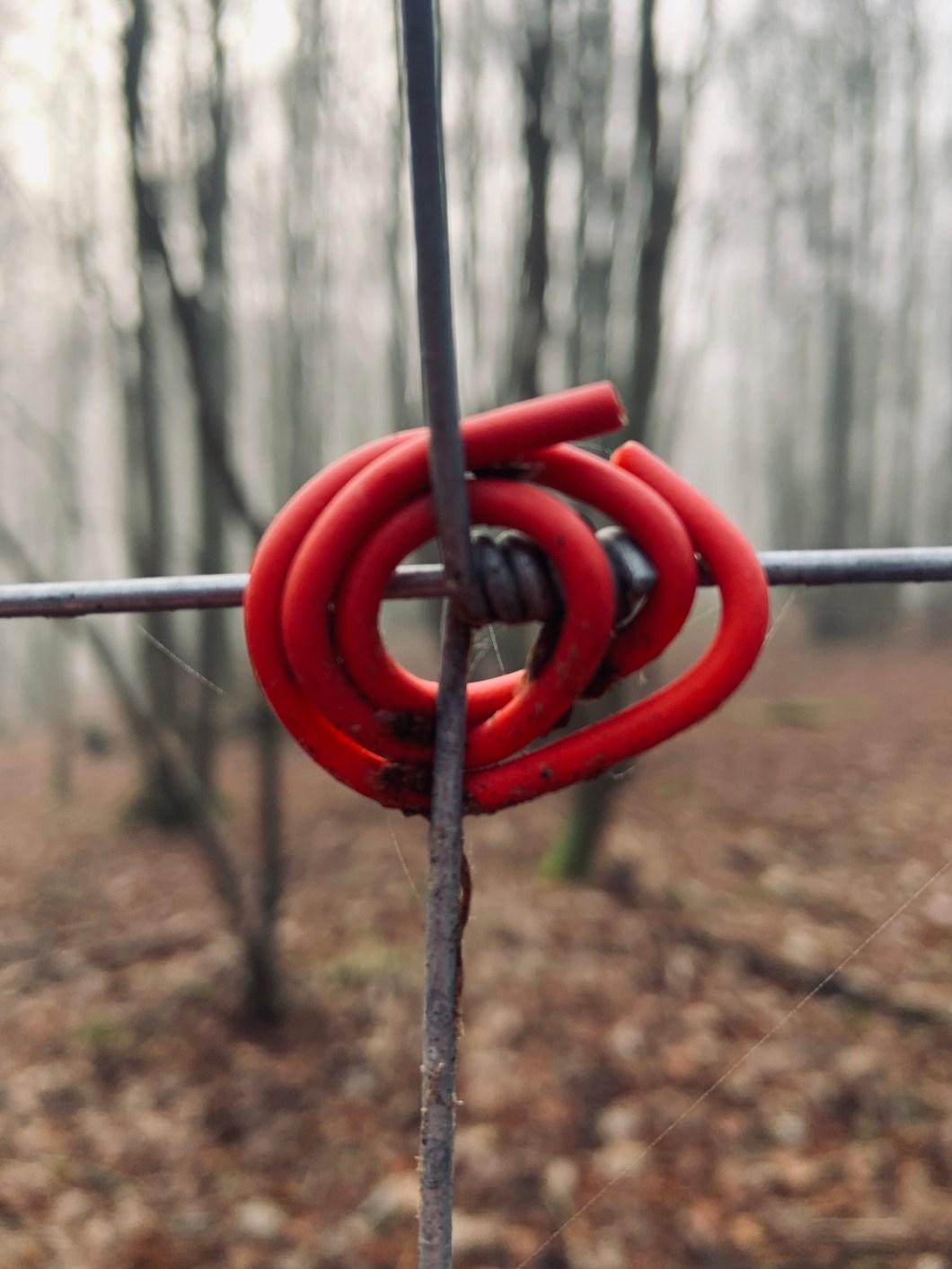 C217650B-F626-4430-A686-34B02FECED12_1_201_a