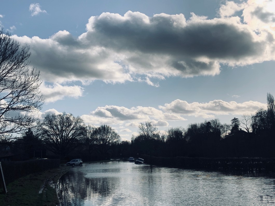 21ECA467-725C-4032-BAC1-BF3B88F94879_1_201_a