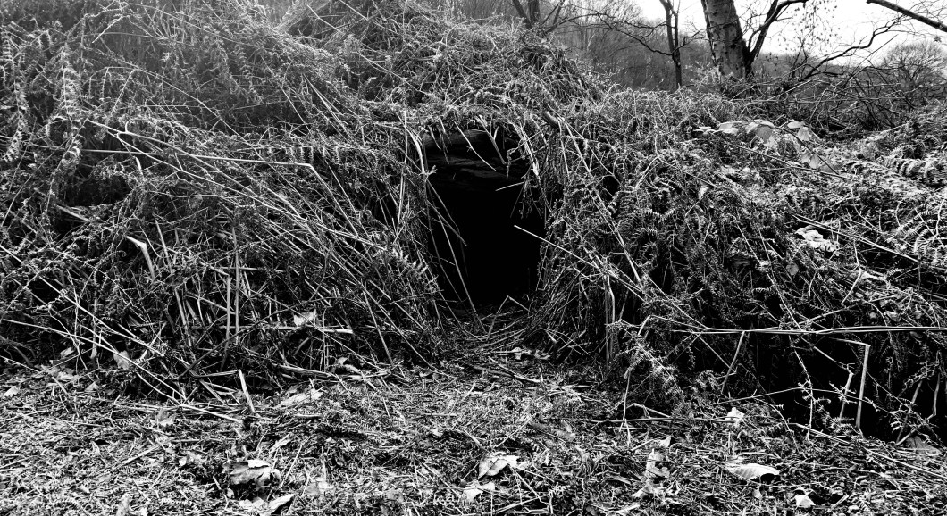 2613B75B-5661-45B6-A4AD-65FD19ECE43B_1_201_a