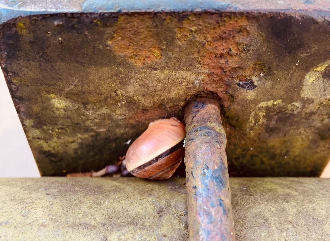 2730EC7B-8621-443D-ADCA-E2F341CAF0A2_1_201_a