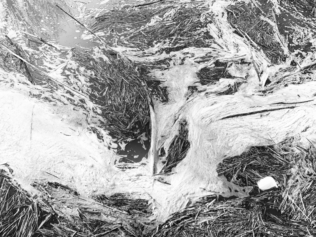 2B7007C5-5E1D-4749-BB64-FE0D935798DA_1_201_a