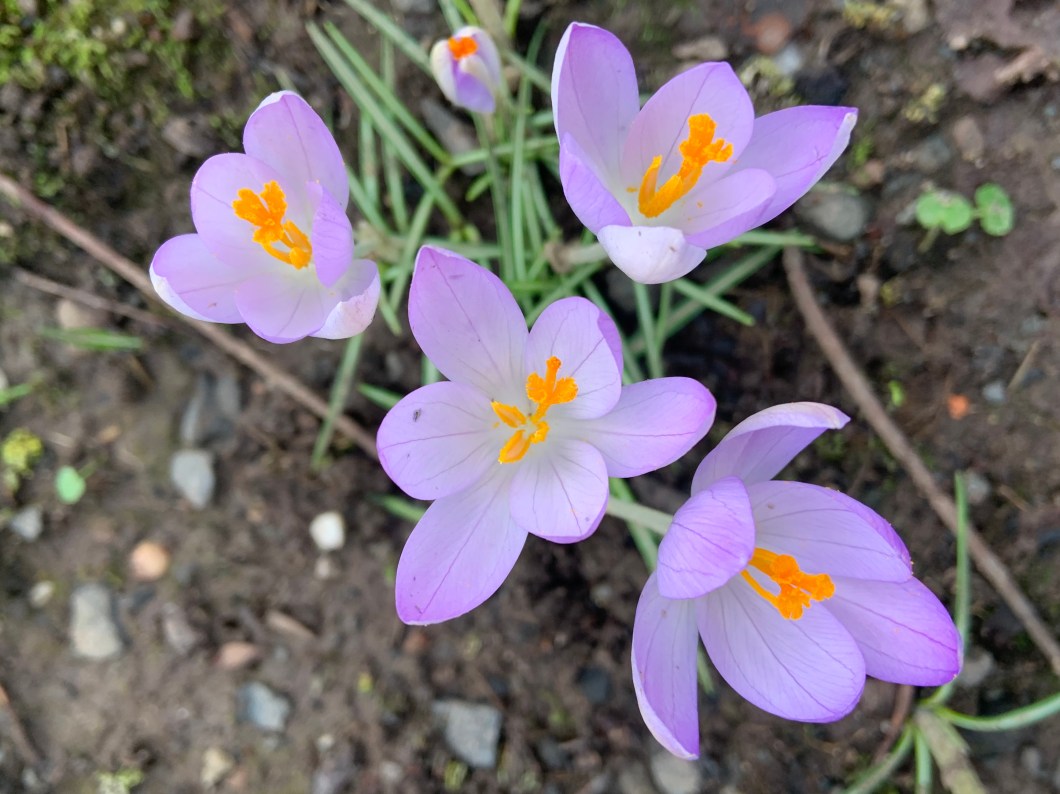 6D2CCF14-3D3C-41FA-A78B-86A82C558665_1_201_a