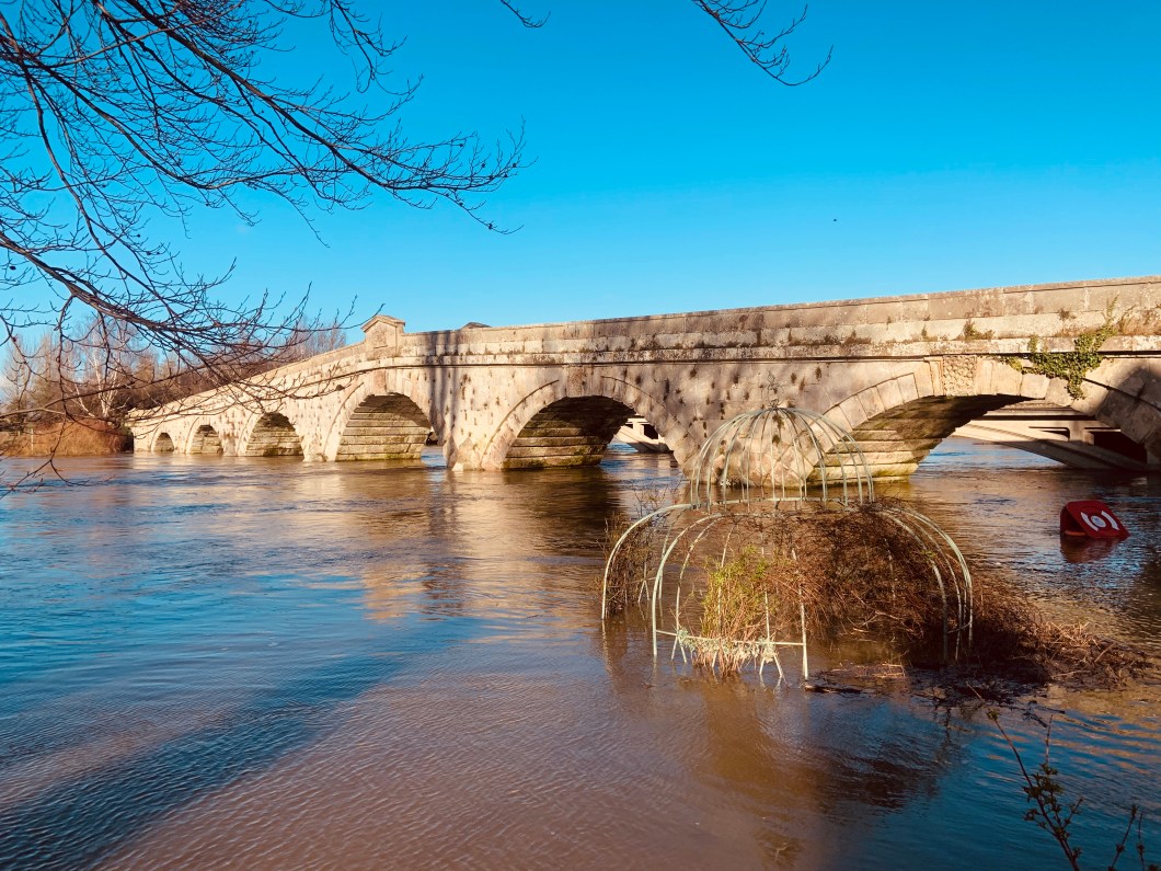 817E11E0-E65F-4DC6-9CB7-F1F55F0BB3E8_1_201_a