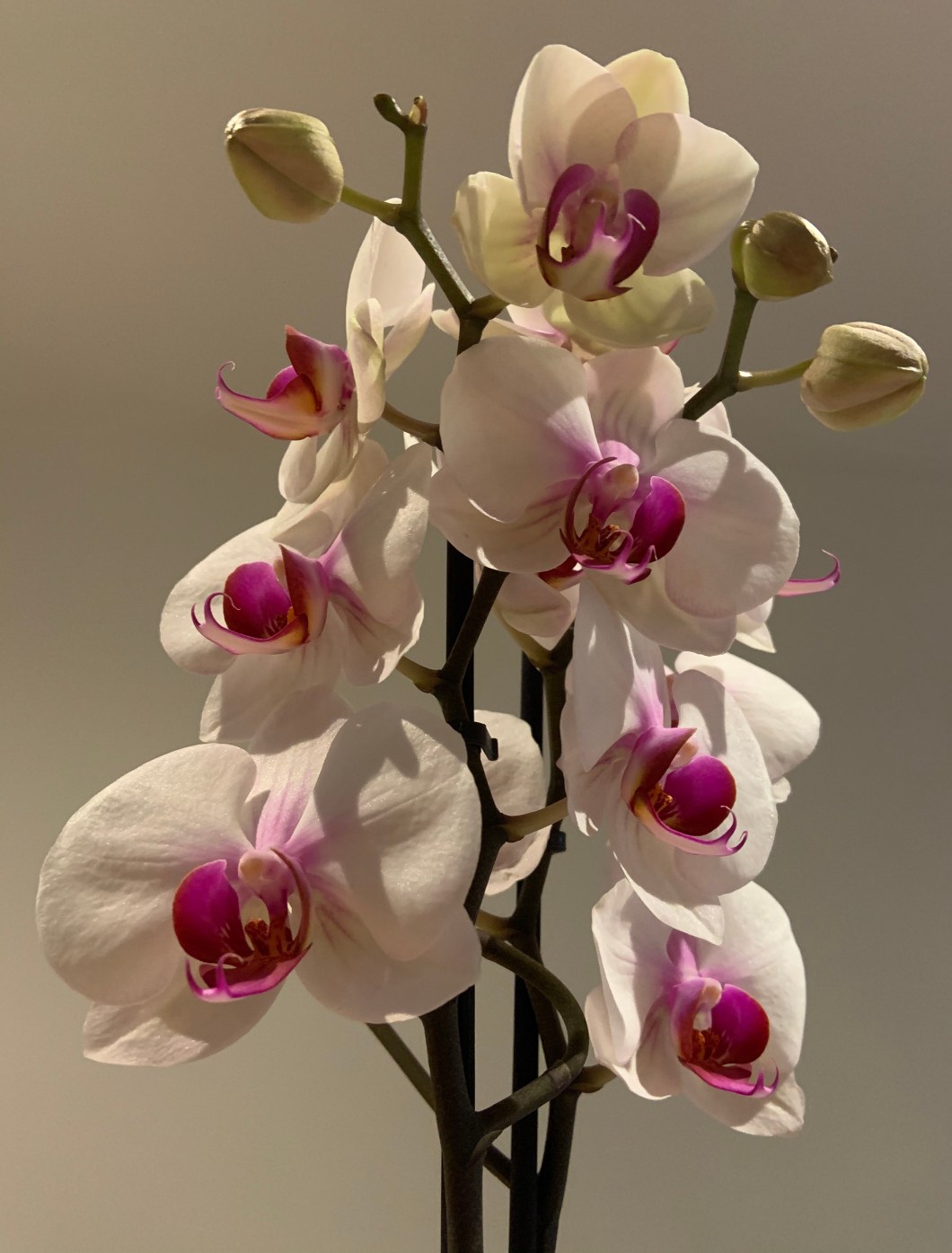 CE6F84CC-B7C3-4DF2-8427-9E7330850C6C_1_201_a