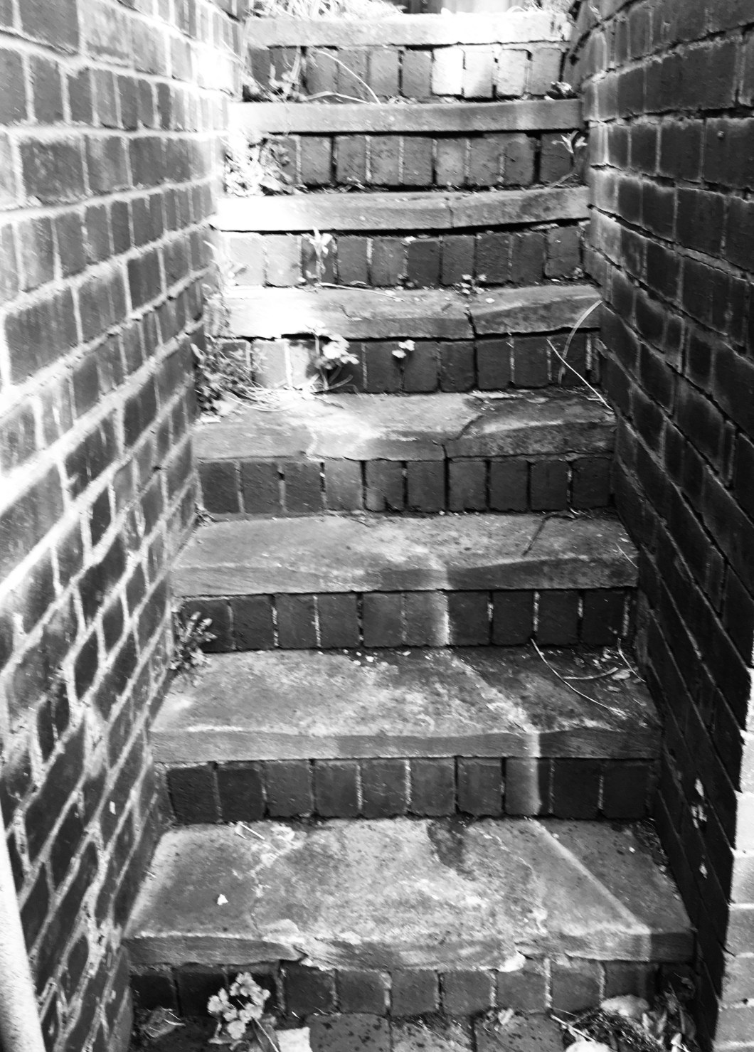 D9B4E675-0D3F-4579-85EF-7A903ED98D79_1_201_a