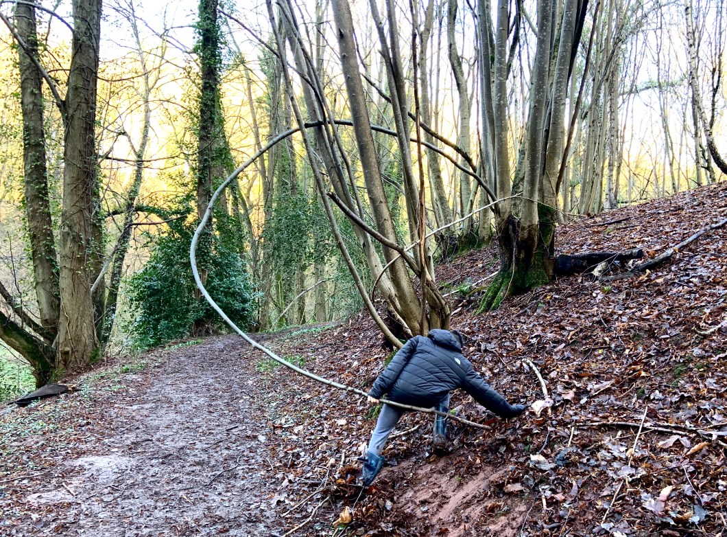 DBAE4253-67AB-4895-85DA-E9F36B9AB7D5_1_201_a