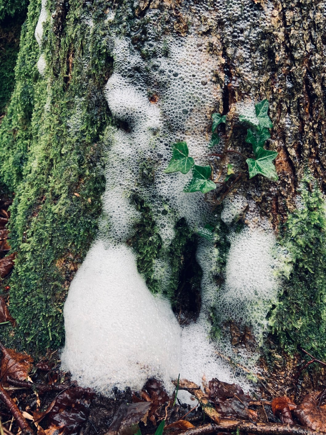 EB8A5E31-04C5-4E6B-94E0-6953EEB093A8_1_201_a