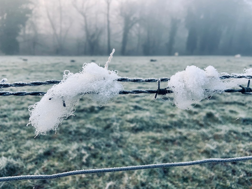 F602EB65-A028-4487-9306-704AC9B13DAC_1_201_a