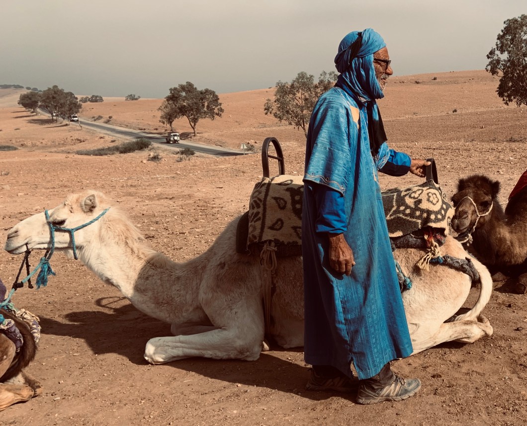 09B7DF1F-C5DE-4783-A958-9F1E4A01D978_1_201_a