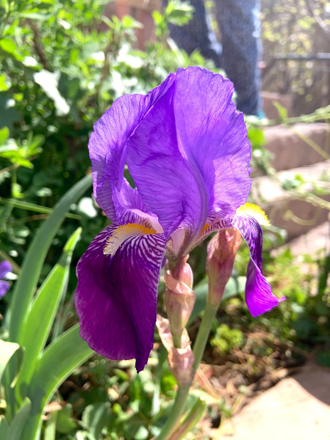 1482160E-B8C8-4FE2-A41C-1C4763F783DE_1_201_a