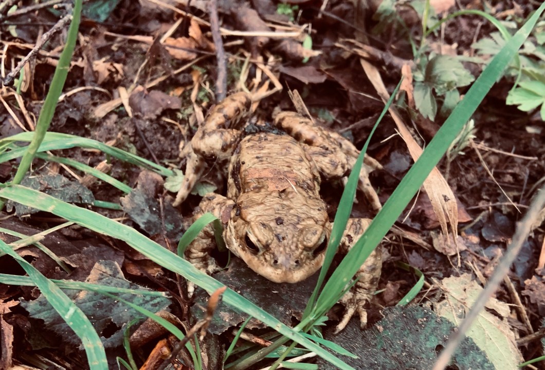 2E0A1C09-9287-426D-B2B5-1C4CA6C202D6_1_201_a