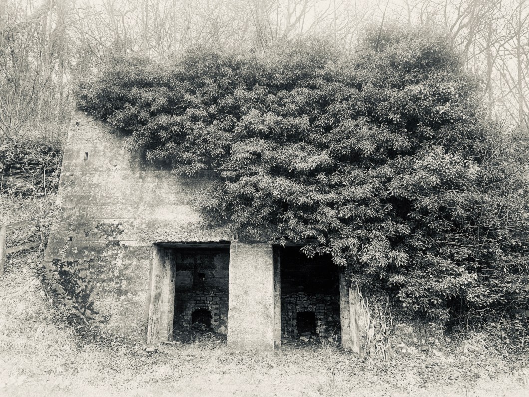 32F5FAB2-17EC-4B4E-8F51-A1E3DE1E248F_1_201_a