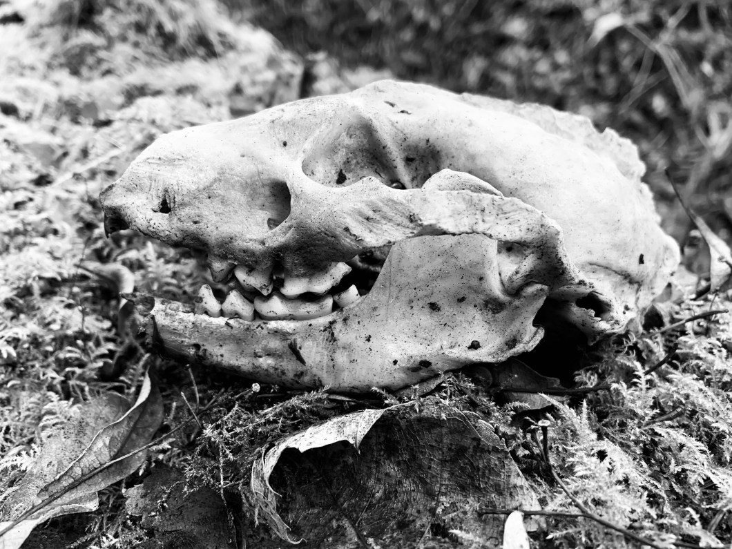 472EF984-B976-43A4-9852-BD77478B211B_1_201_a